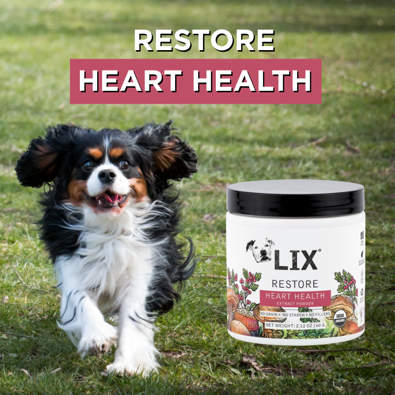 LIX Expands RESTORE Line with New Heart Health Formula