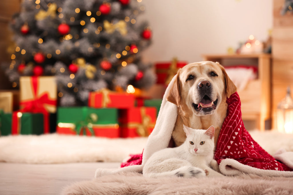 Tips to have a safe and happy holiday season with your pets!
