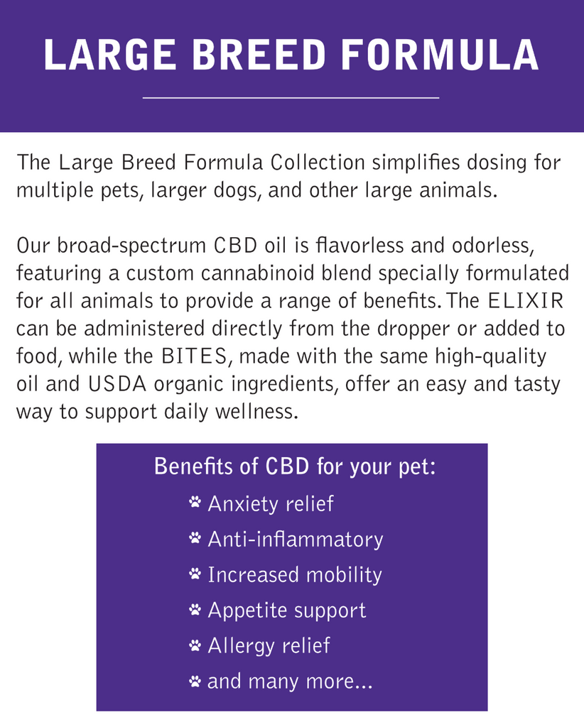 CBD Oil for Large Dogs & Horses 2500mg | High Potency Elixir