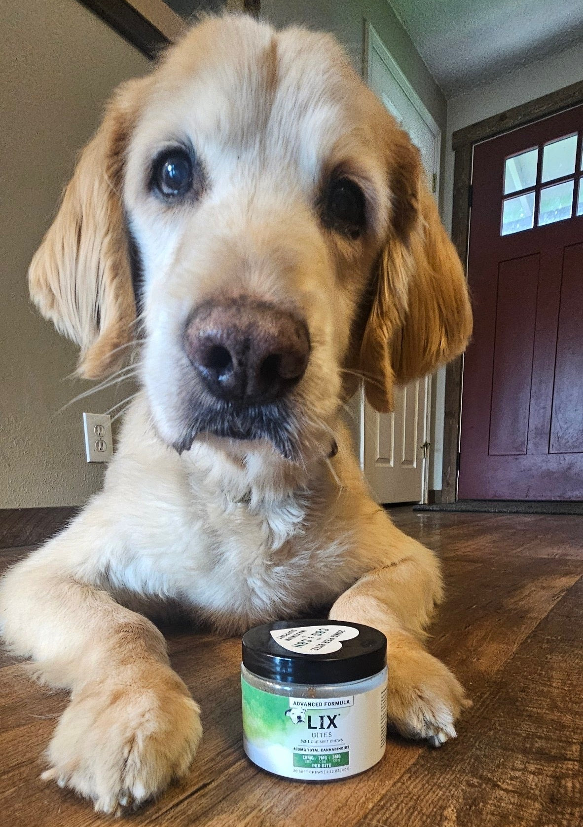 Bites Advanced Advanced 3:2:1 CBD Soft Chews for Small Dogs & Cats 20 Count – LIX